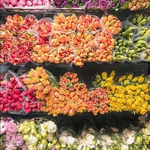 Meet your Posher, Aubrey